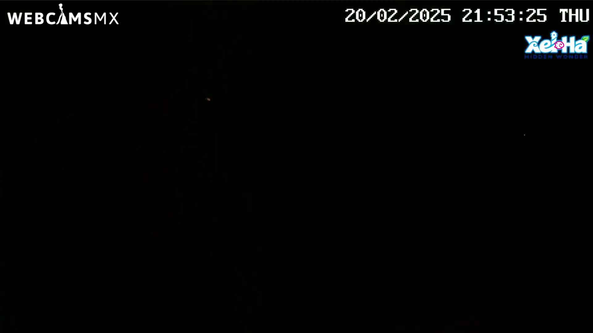 A very dark image shows a mostly black scene at night.