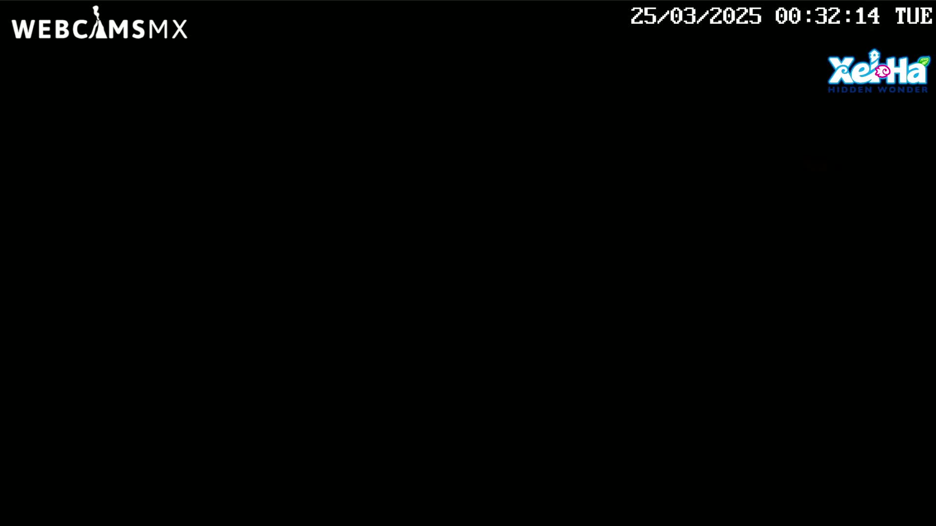 The image is a completely black screen.