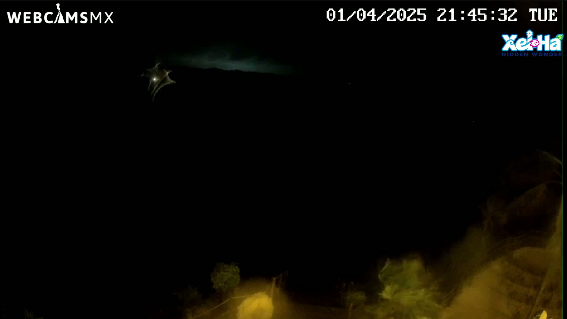 A nighttime, dark outdoor scene shows a faint, bright object in the upper portion of the frame, with illuminated, hazy foliage at the bottom.