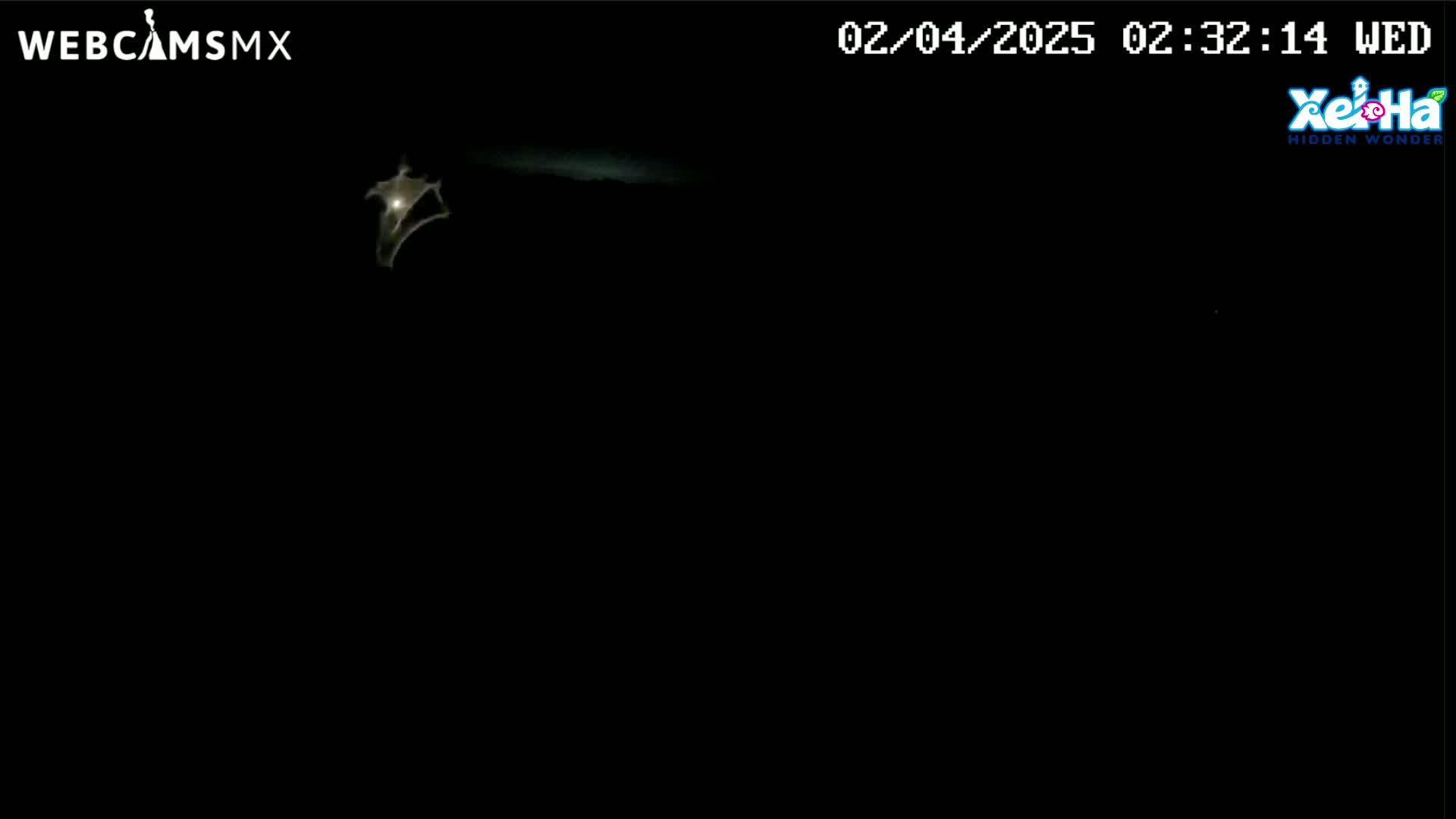 A dimly lit, nighttime scene shows a pale, possibly luminous, object in the upper left corner against a completely dark background.