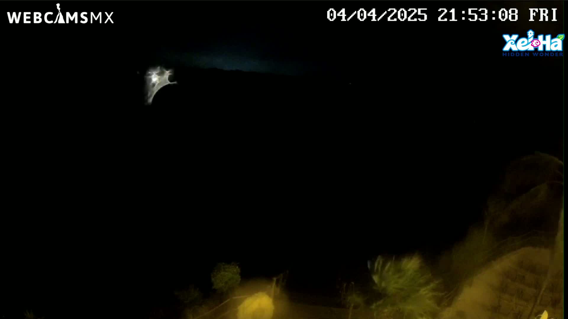 A nighttime, outdoor scene shows a bright flash of light in the dark sky above a dimly lit landscape with vegetation.
