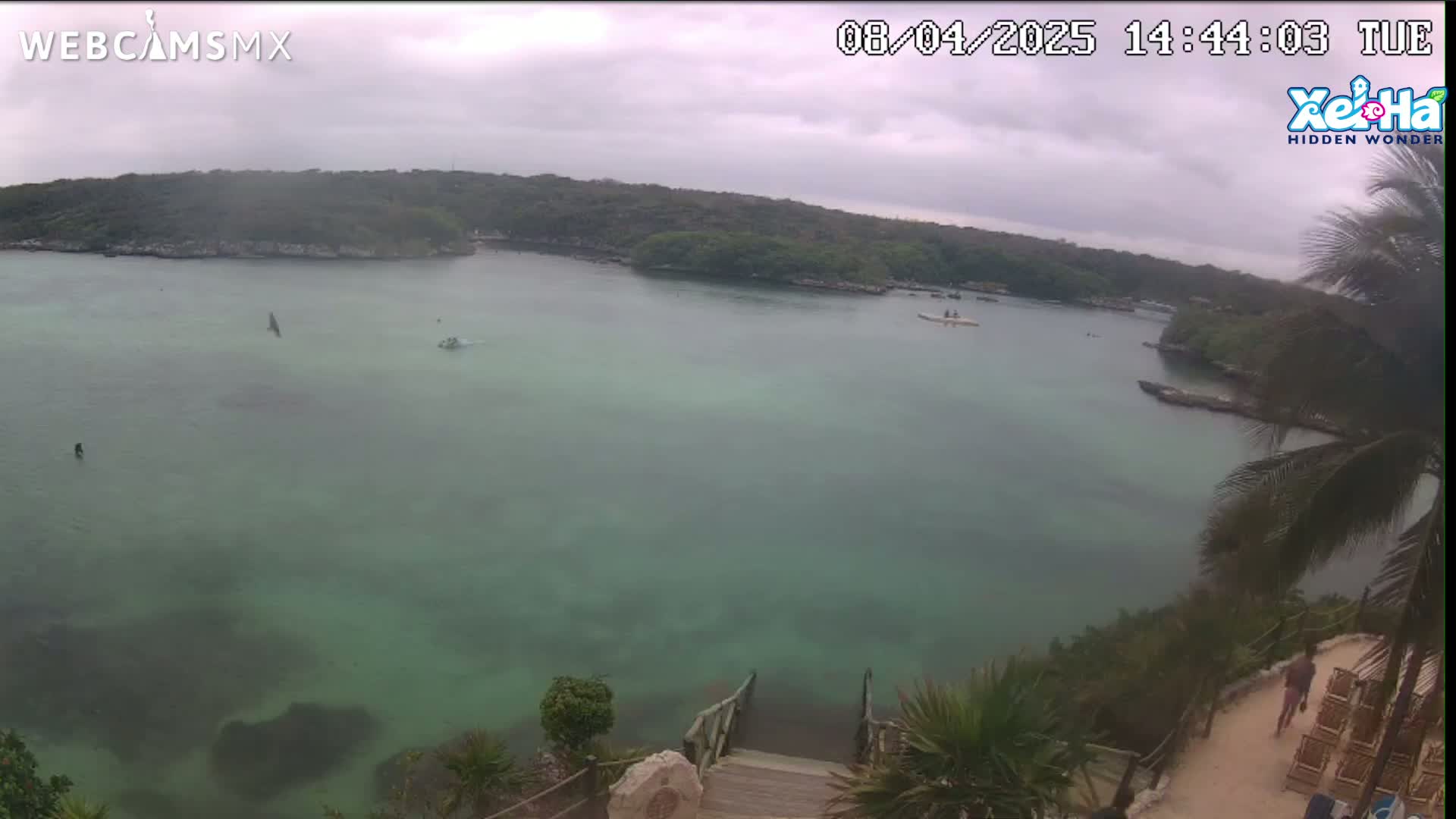 An elevated view shows a calm, green-tinged body of water under an overcast sky, with a small wooden staircase leading down to the water's edge, surrounded by tropical vegetation.