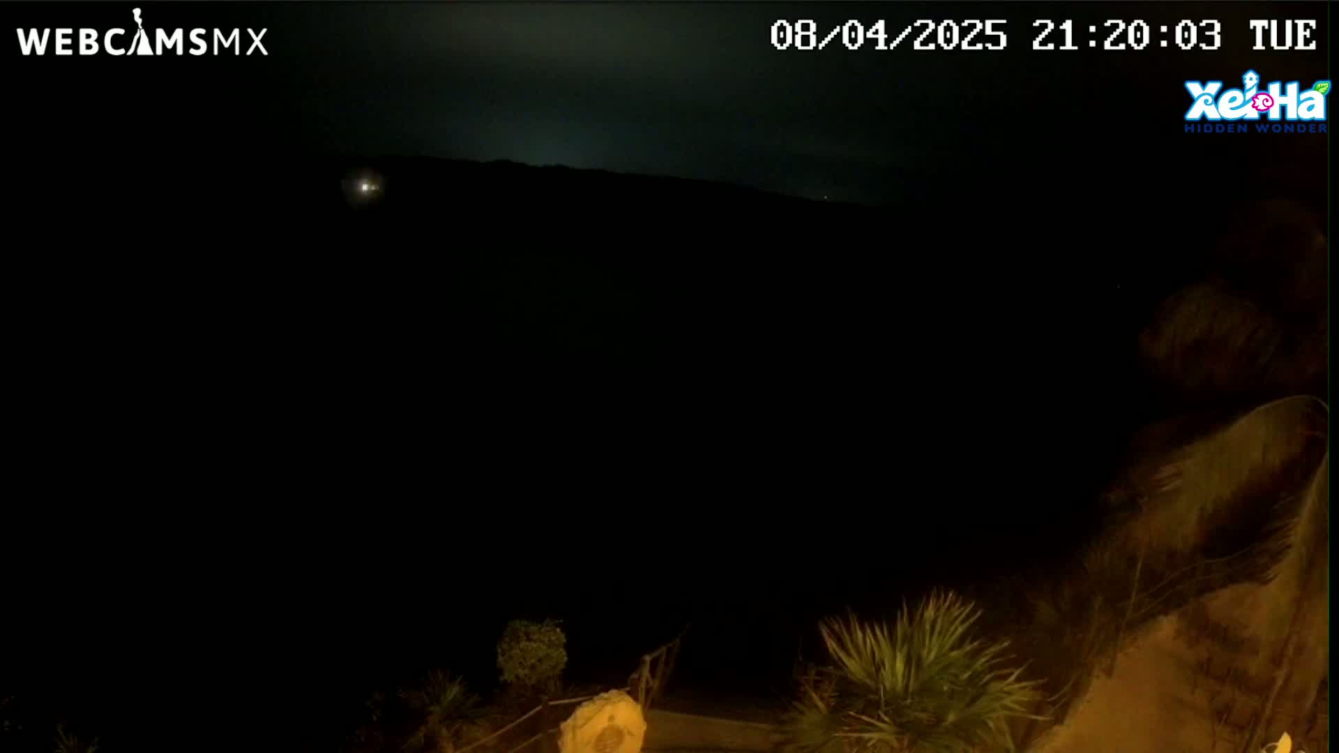 A nighttime, dark outdoor scene shows a distant, dimly lit hillside under a mostly clear, dark sky with some low light illumination, and some vegetation in the immediate foreground.