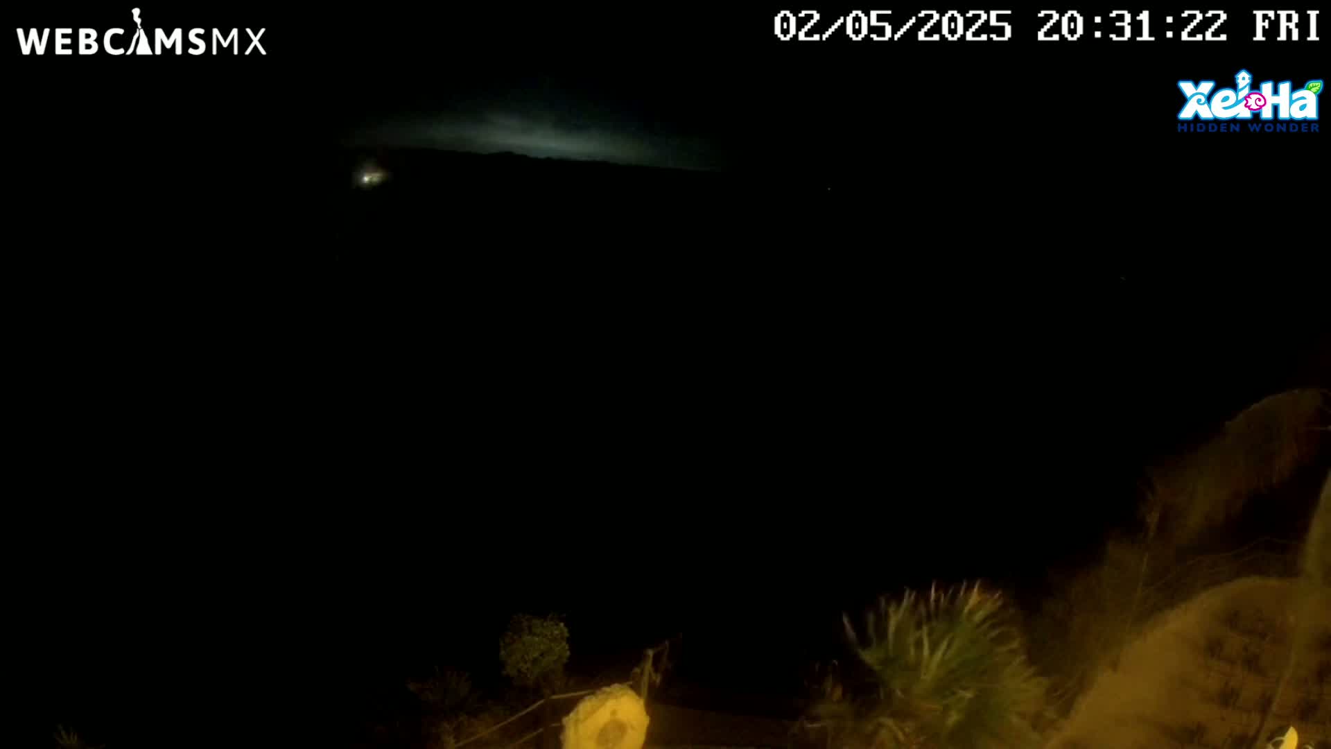 A nighttime, outdoor scene shows a dark landscape under a faintly luminous sky, with some vegetation visible in the lower right corner.