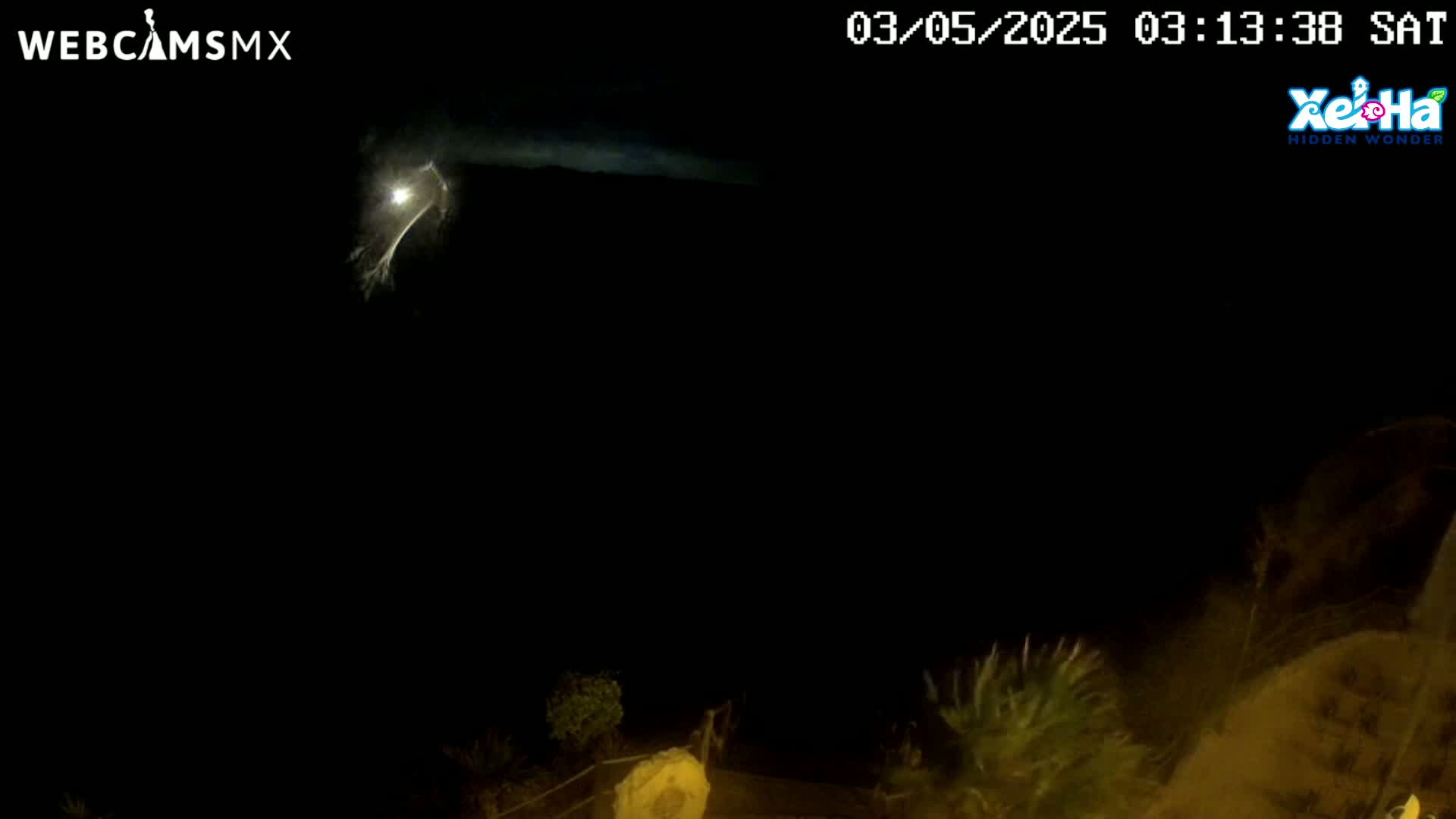 A nighttime, outdoor scene shows a bright flash of lightning in a dark sky above some low-lying vegetation.