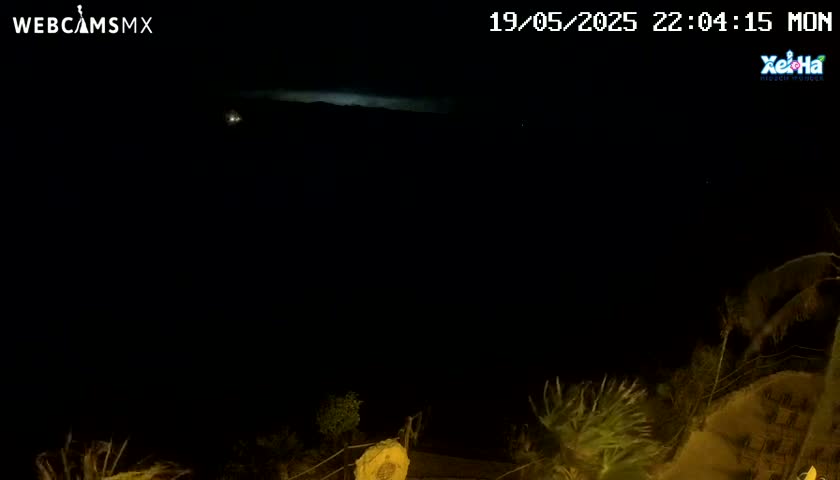 A nighttime, dark scene shows a faintly illuminated horizon and silhouetted vegetation in the lower portion of the frame.