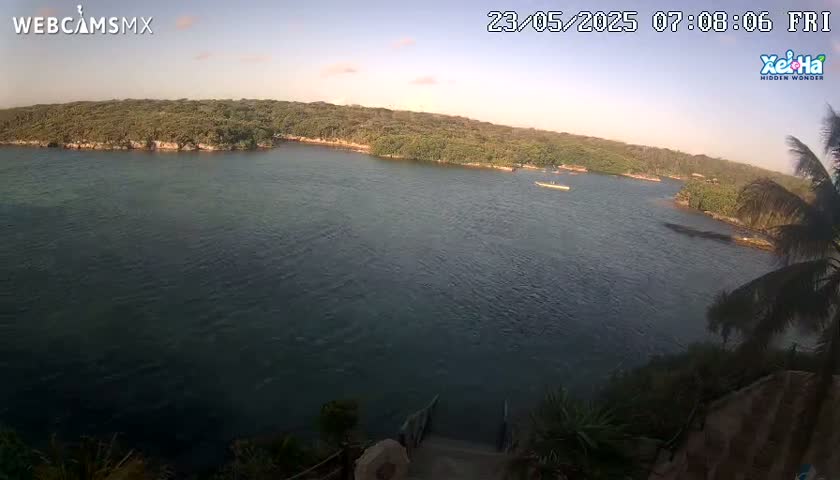 A calm body of water is seen from an elevated viewpoint, with lush green vegetation bordering the shoreline under a clear, light-blue sky.