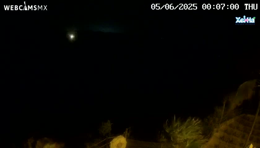 A nighttime, outdoor scene shows a dimly lit landscape with some vegetation in the bottom right corner, under a dark sky with a bright light source possibly the moon in the distance.