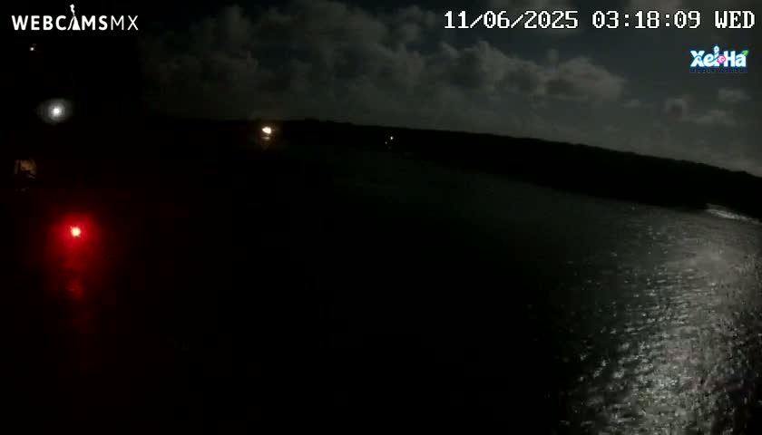 A dark nighttime scene shows a body of water reflecting a slightly cloudy sky, with a few distant lights visible on the shore.