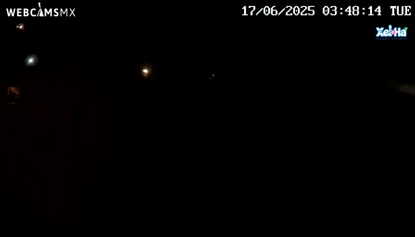 A nighttime image shows a dark scene with a few faint lights in the distance.