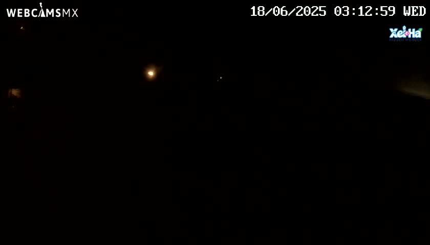 A dark, nighttime scene shows a few faint lights in the distance.