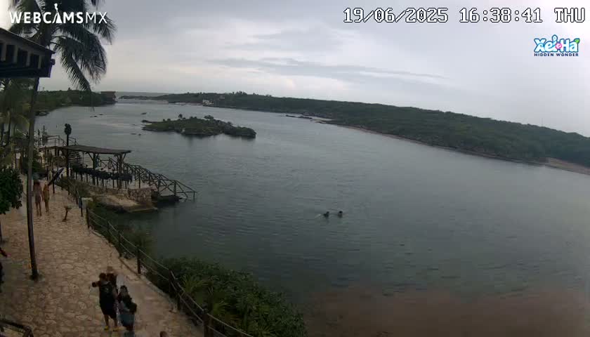 El Parque de Xel Ha Park Live Cam - Tulum, Quintana Roo, Mexico
