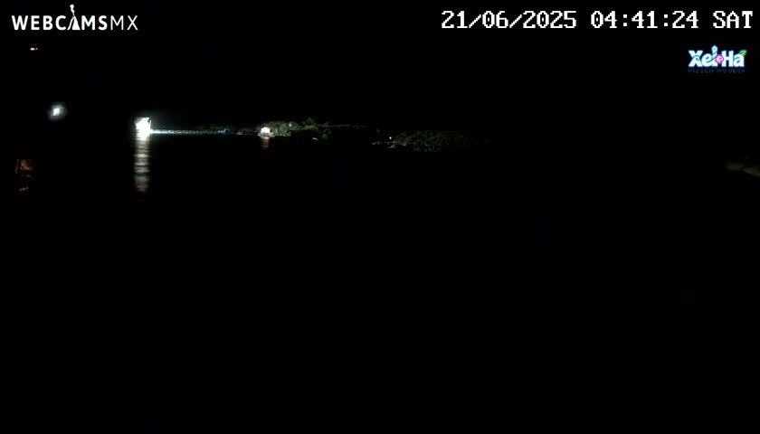 A nighttime, dark view of a body of water with dimly lit land visible in the distance.