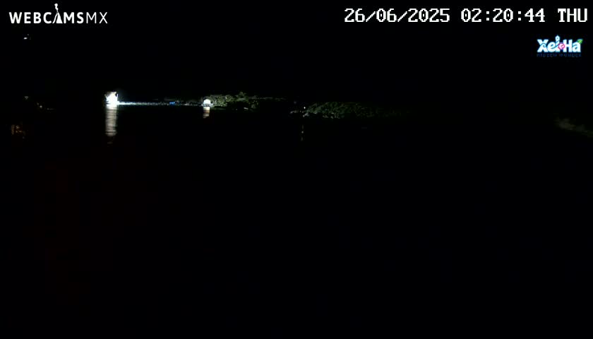 A dark, nighttime scene shows a body of water reflecting some distant lights from the shore.