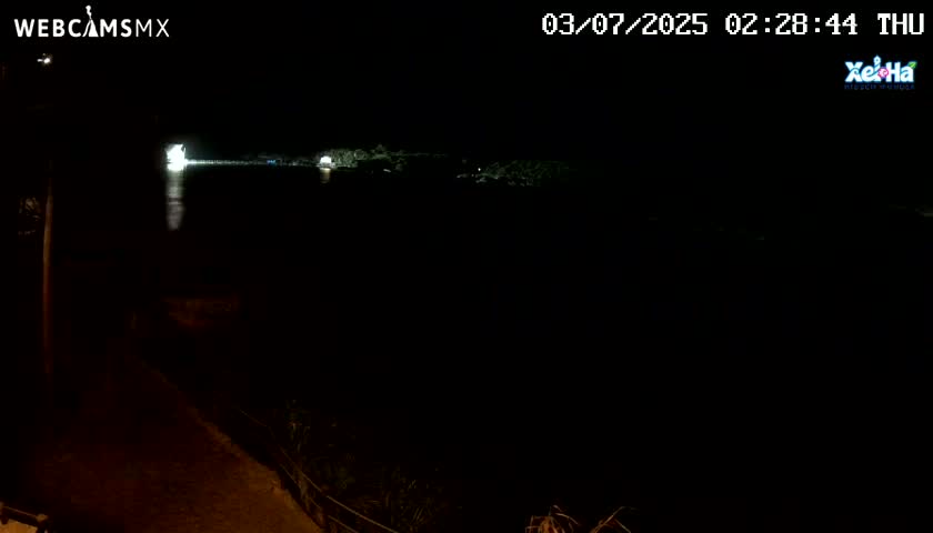 A nighttime view of dark water reflecting a distant light source, with dark land visible on the opposite shore.