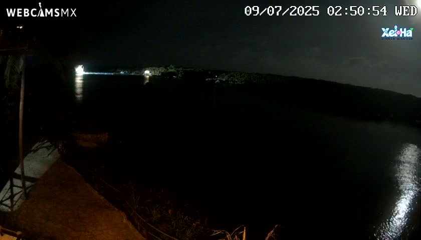 A nighttime view shows a dark body of water reflecting moonlight, with a dimly lit shoreline and vegetation in the foreground.
