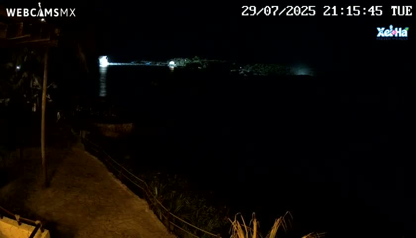 A nighttime view of a dark body of water reflecting a light source, with a dark shoreline visible in the distance under a clear, dark sky.