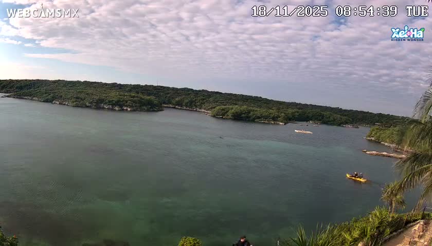 A nighttime view of a dark body of water reflecting a light source, with a dark shoreline visible in the distance under a clear, dark sky.