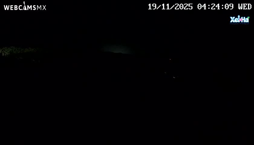 An extremely dark outdoor scene at night features a faint, blurry line of green lights on the left, a subtle glow on the distant horizon, and a few scattered white lights on the right.