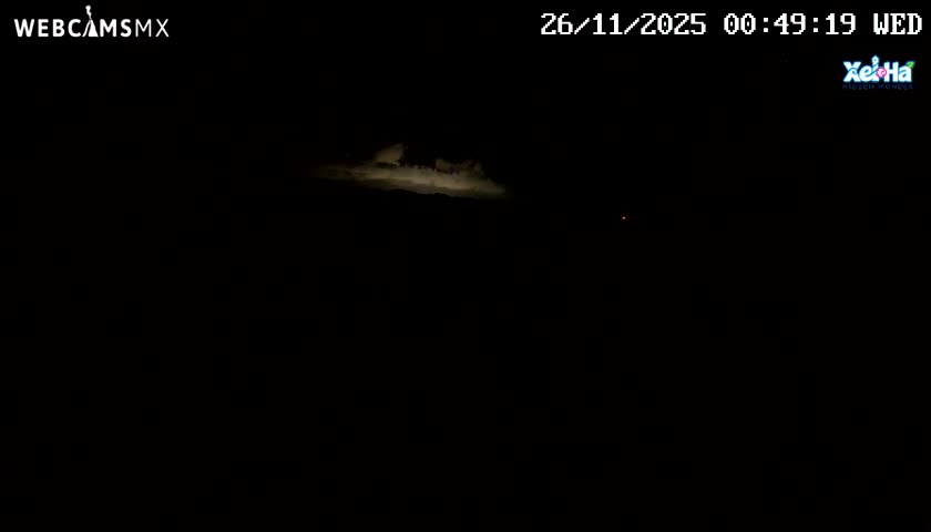 El Parque de Xel Ha Park Live Cam - Tulum, Quintana Roo, Mexico