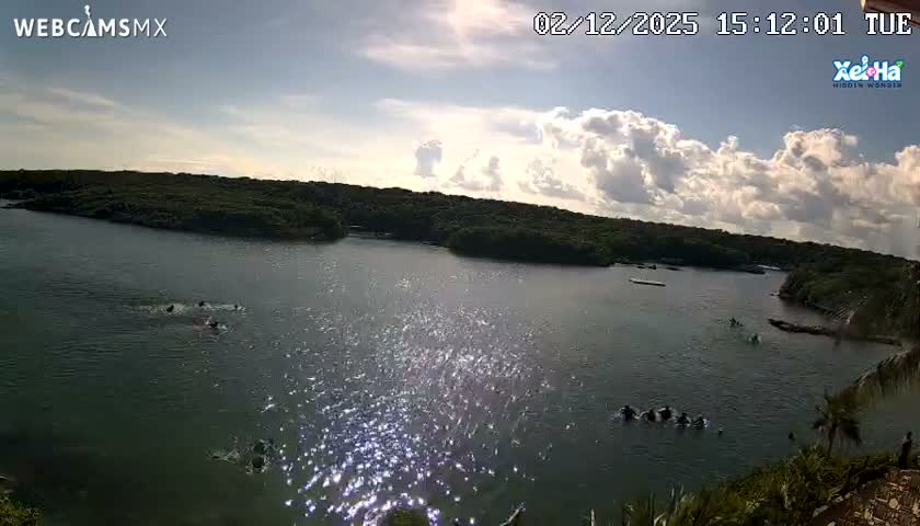 El Parque de Xel Ha Park Live Cam - Tulum, Quintana Roo, Mexico