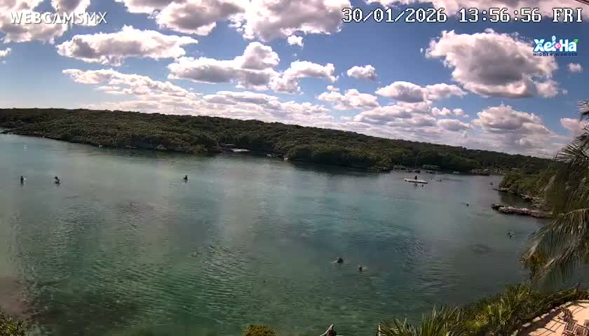 El Parque de Xel Ha Park Live Cam - Tulum, Quintana Roo, Mexico