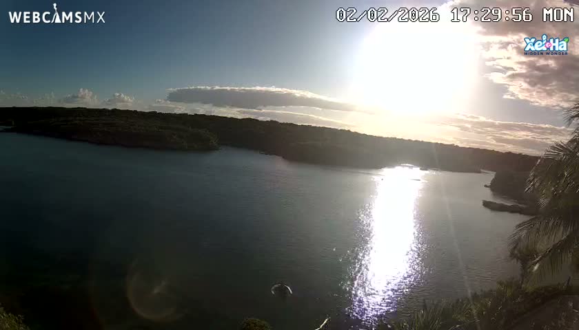 El Parque de Xel Ha Park Live Cam - Tulum, Quintana Roo, Mexico
