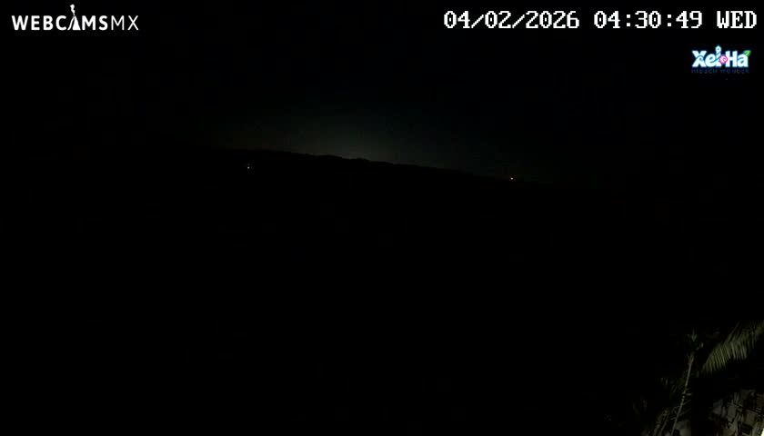 El Parque de Xel Ha Park Live Cam - Tulum, Quintana Roo, Mexico