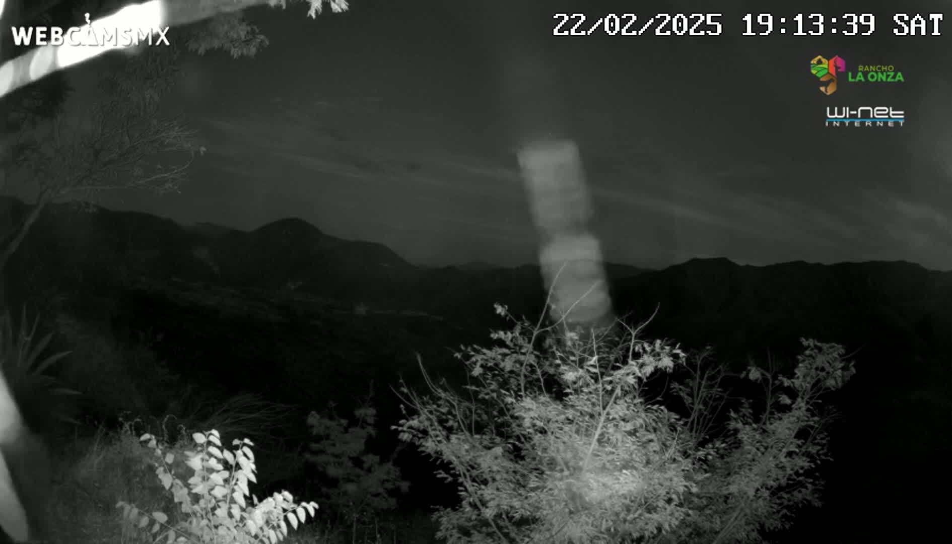 A nighttime, low-light view shows dark mountains in the distance, partially obscured by leafless branches in the foreground under a mostly clear sky.