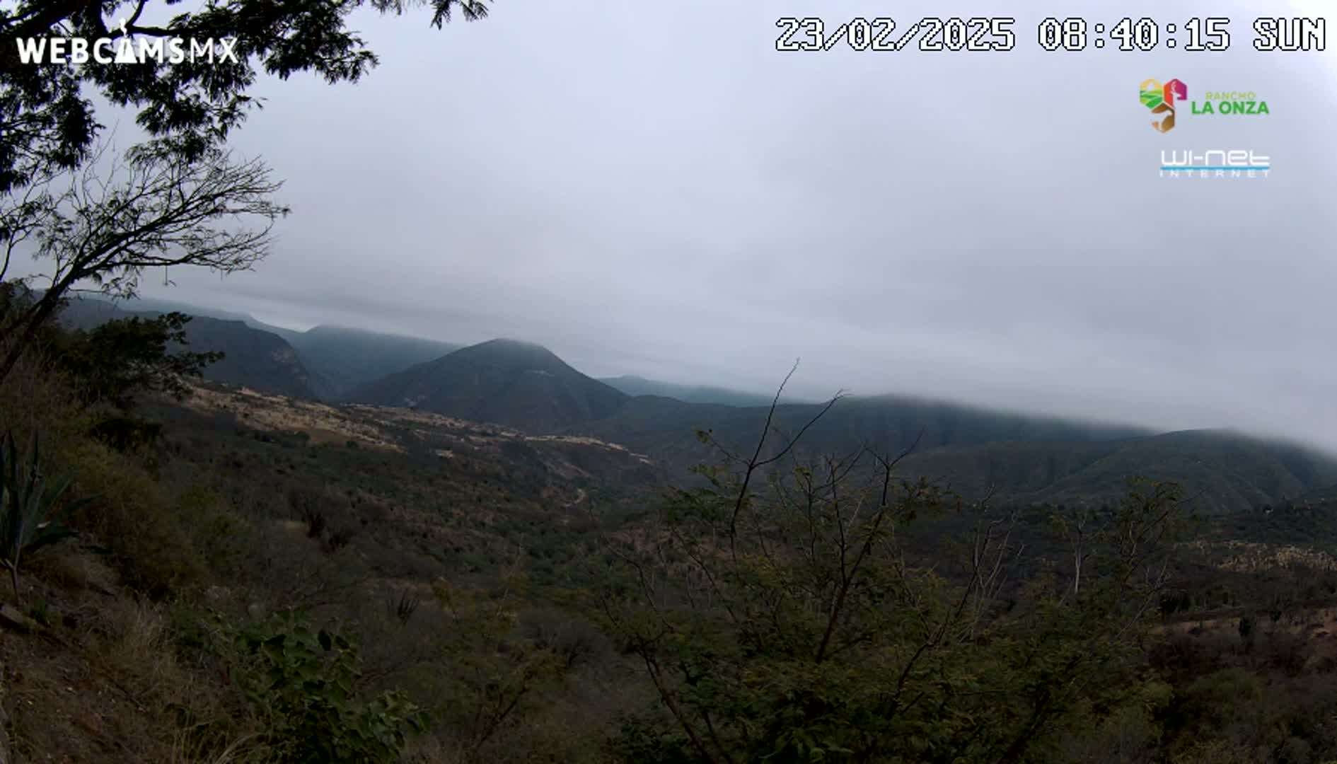 A hazy, overcast view of a mountainous landscape with scrubby vegetation.