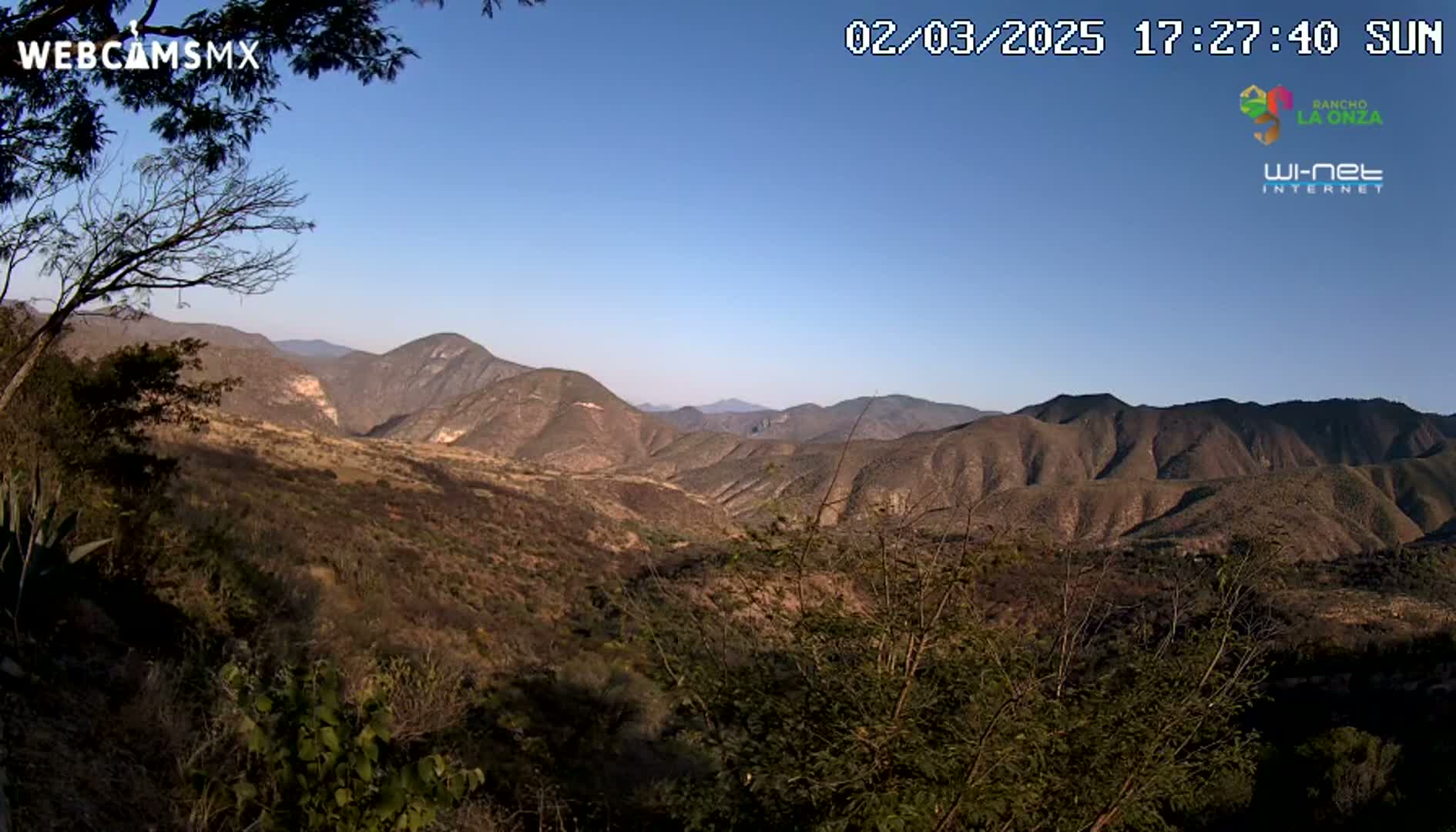 A sunny view of a vast, dry, mountainous landscape with sparse vegetation.