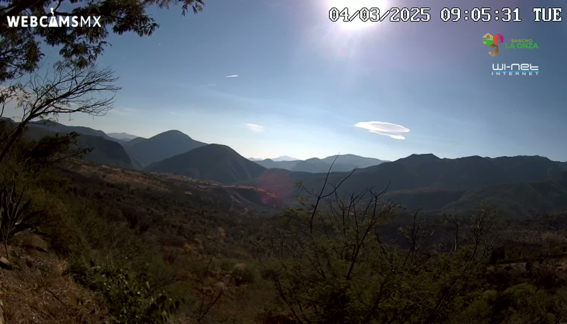 A sunny, clear day reveals a vast mountainous landscape with scrubby vegetation and some leafless trees in the foreground.