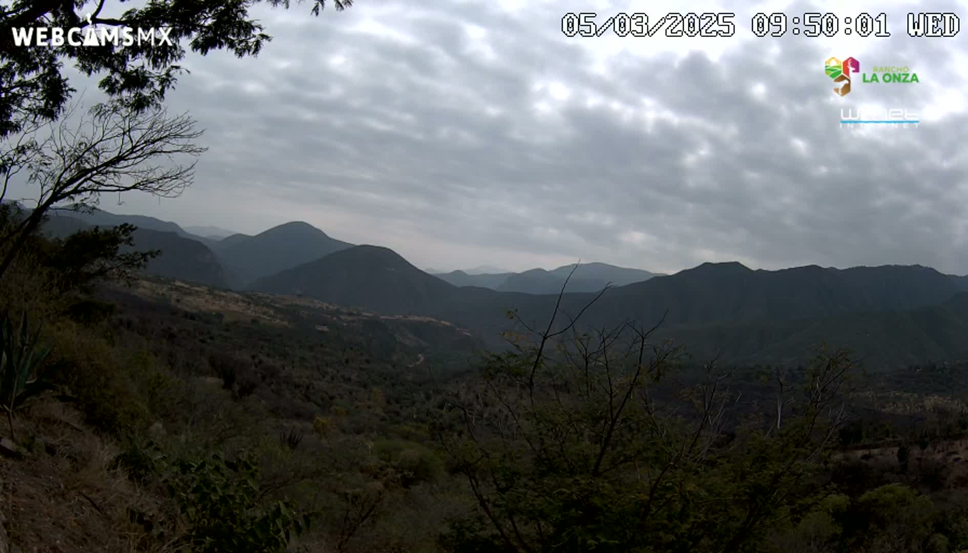 A view of a mountainous landscape under a cloudy sky, showing a valley filled with dark green vegetation.