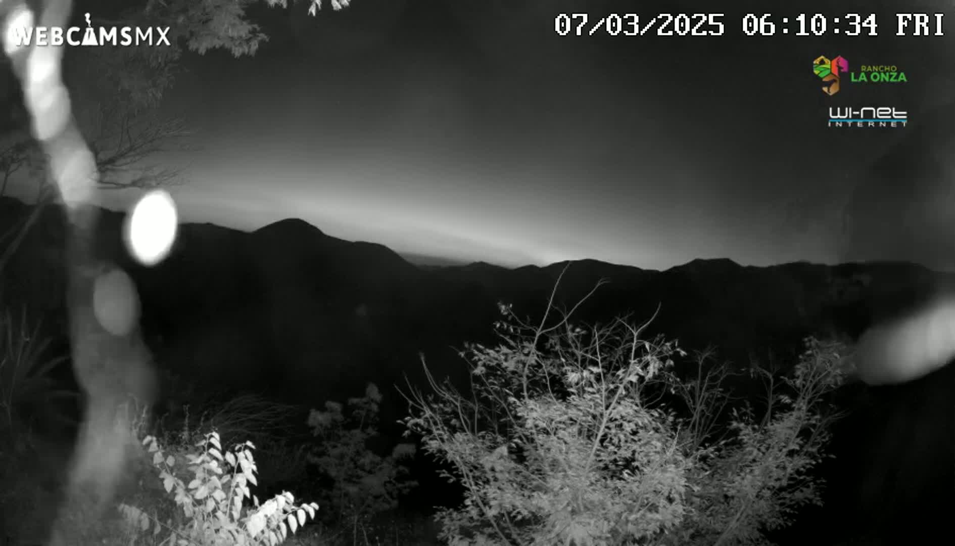 A nighttime, grayscale view of a mountain range at dawn, partially obscured by silhouetted branches.