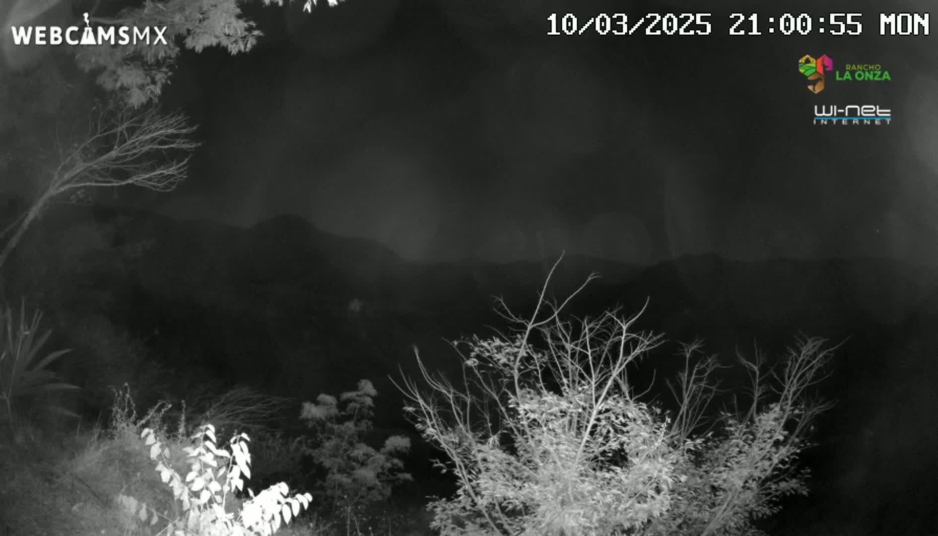 A nighttime, low-light image shows bare branches of trees and shrubs in the foreground, with dark mountains visible in the background under a cloudy sky.