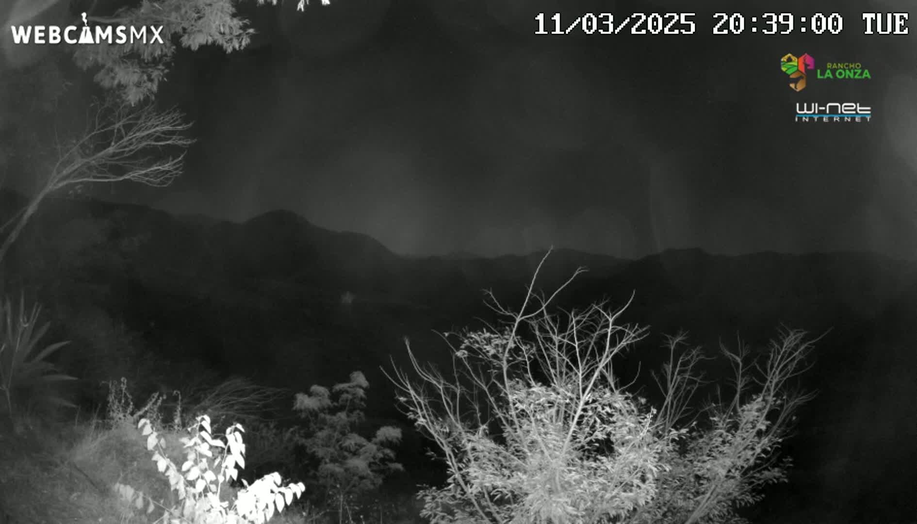 A nighttime, grayscale view shows bare branches of trees and bushes in the foreground, with dark mountains faintly visible in the background under a cloudy sky.