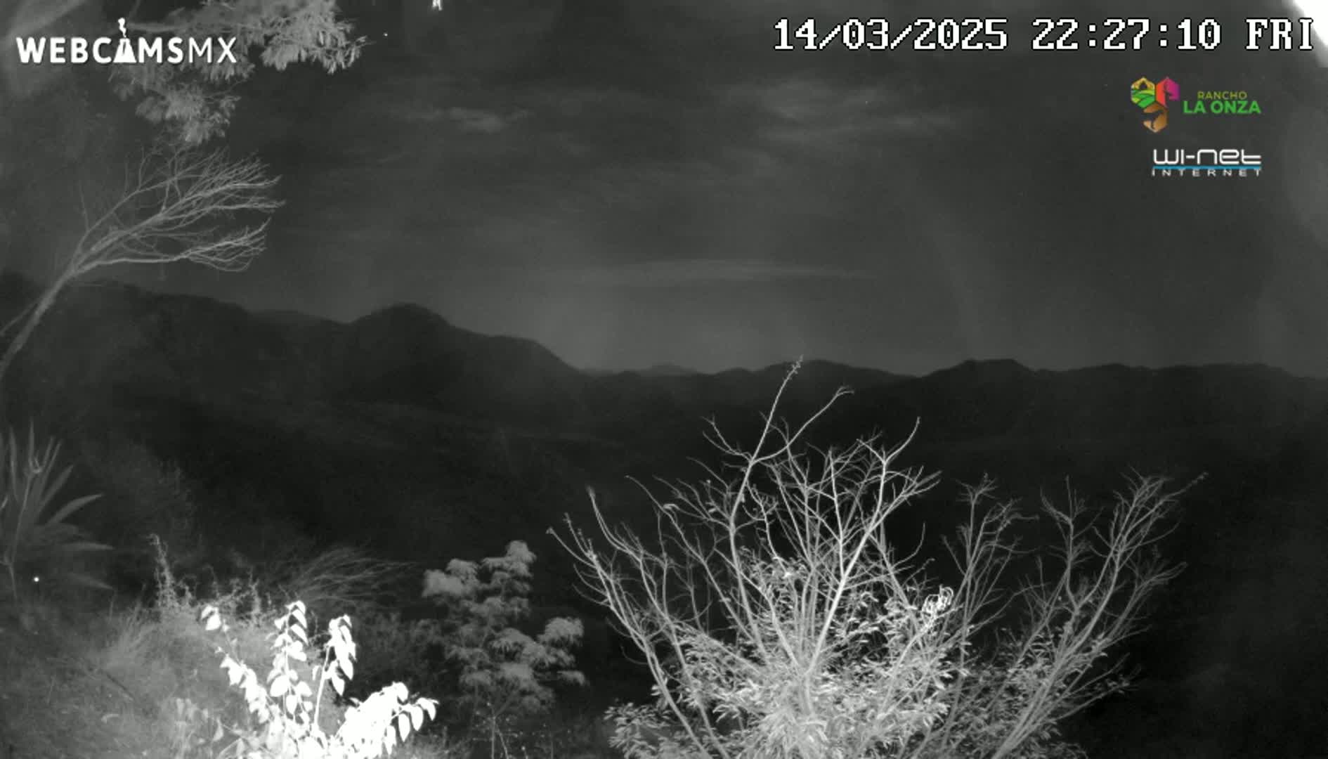 A nighttime, overcast view of mountains and bare trees from a high vantage point.