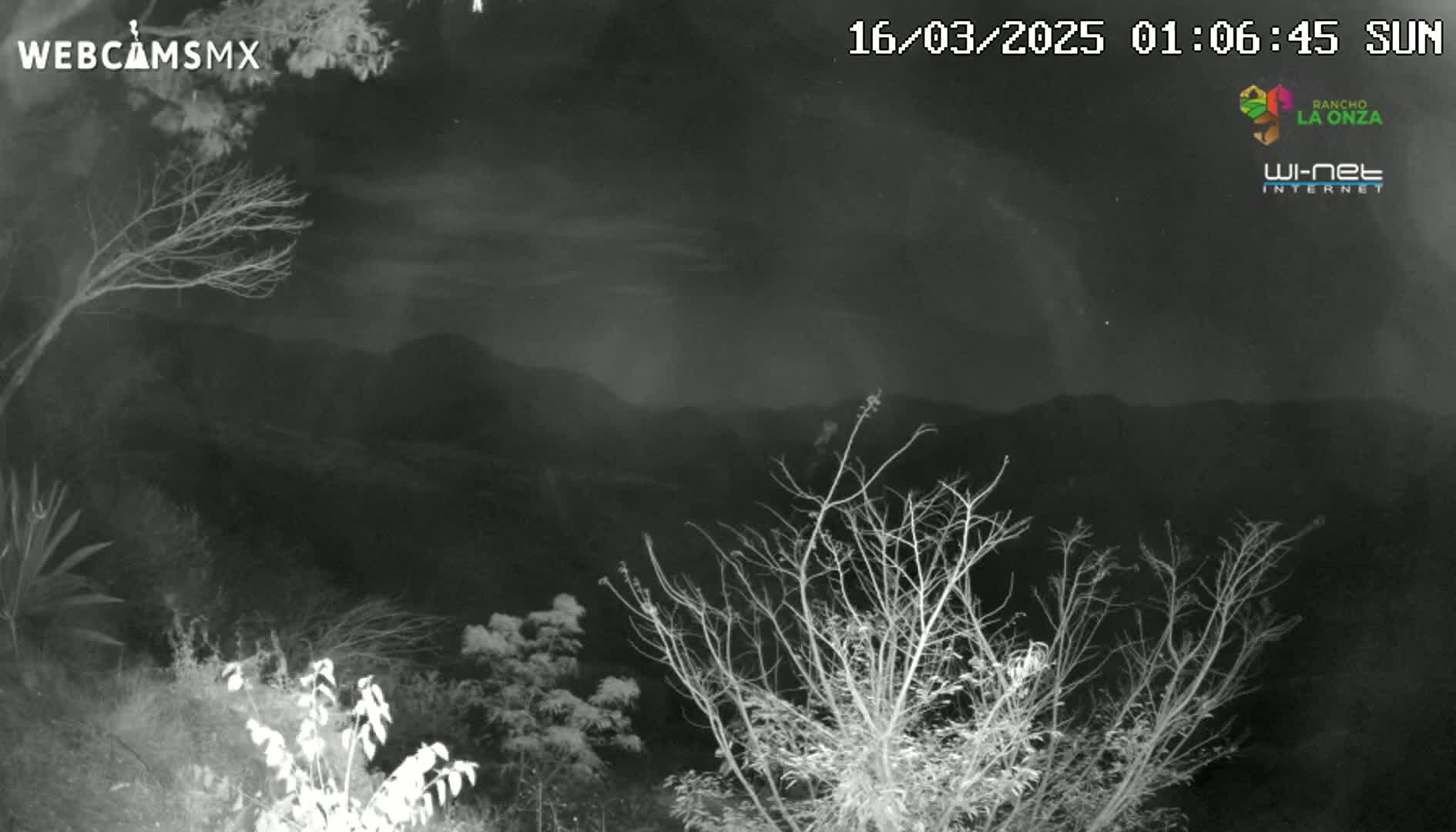 A nighttime view of a mountainous landscape under a partly cloudy sky, showing bare branches of trees and shrubs in the foreground.