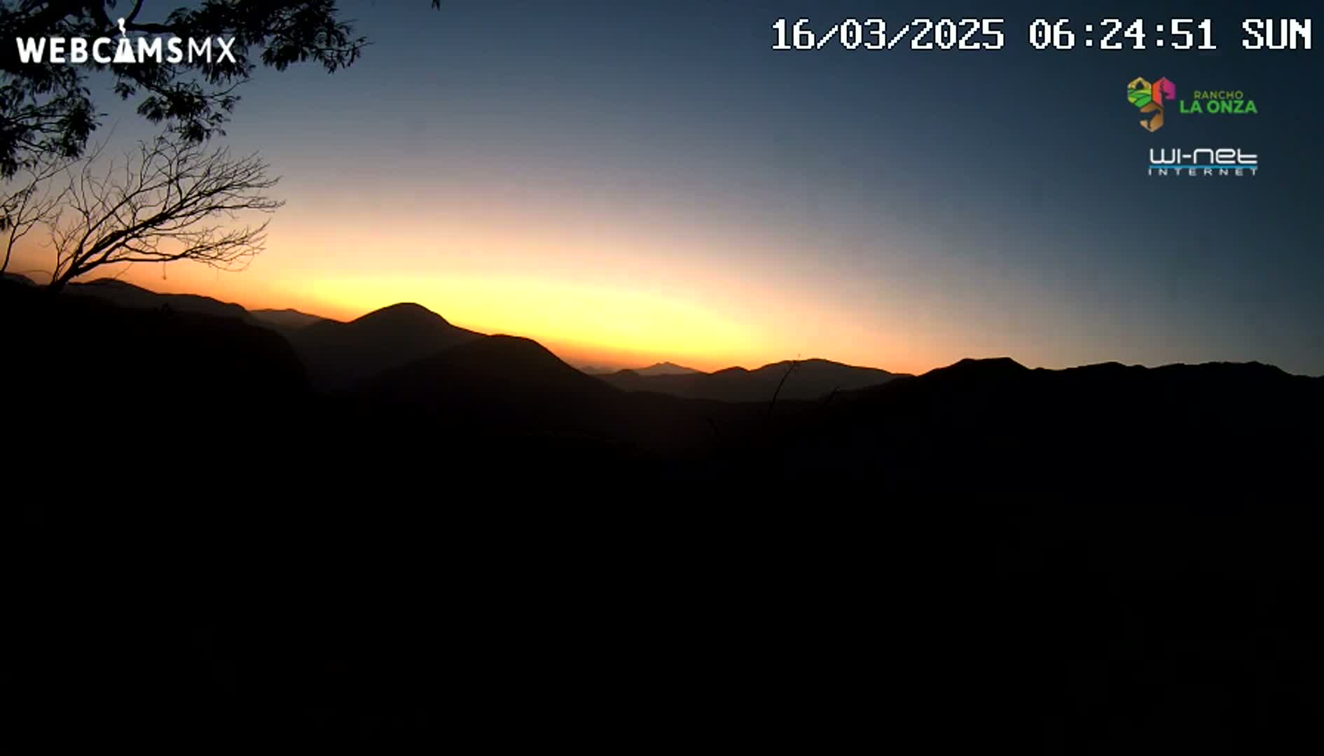 A sunset casts a warm orange glow over a silhouetted mountain range, partially obscured by a bare tree in the foreground.