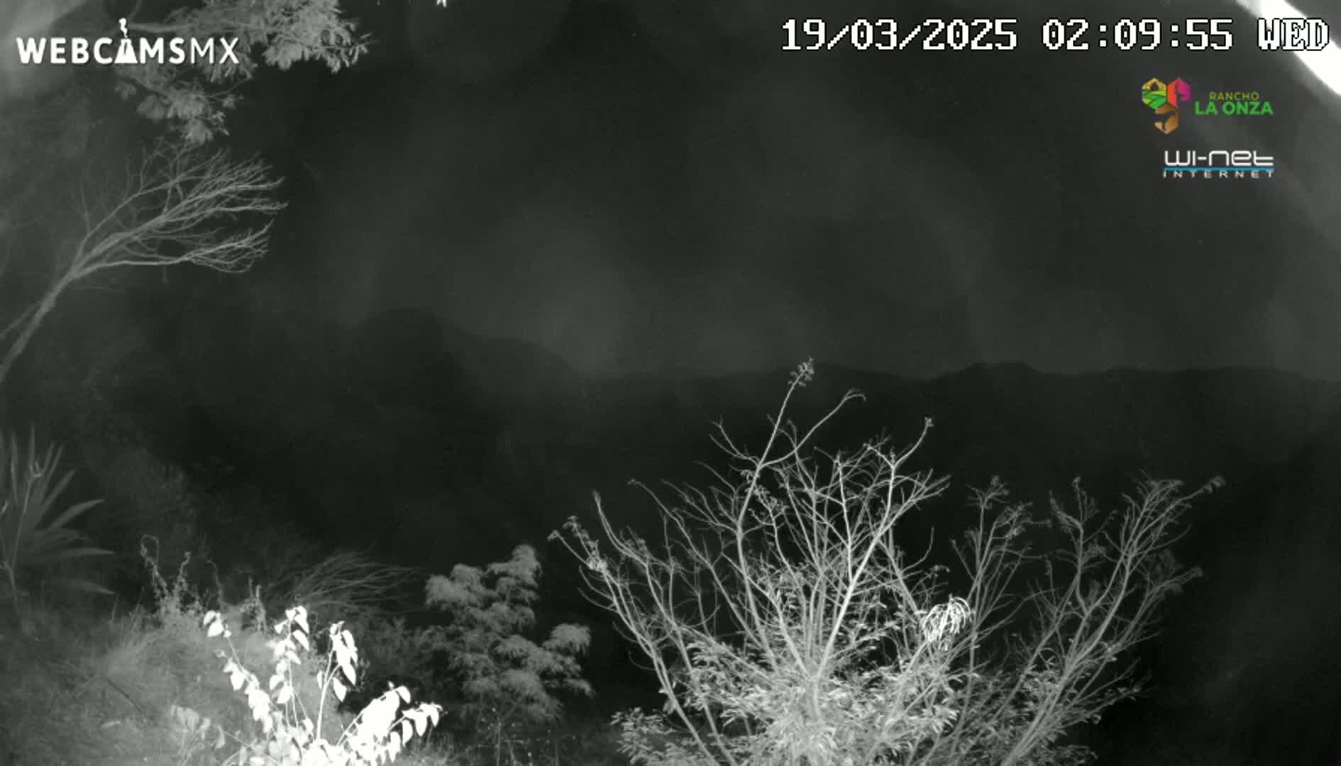 A nighttime, grayscale view shows bare branches of trees and shrubs in the foreground, with dark mountains in the background under a cloudy sky.