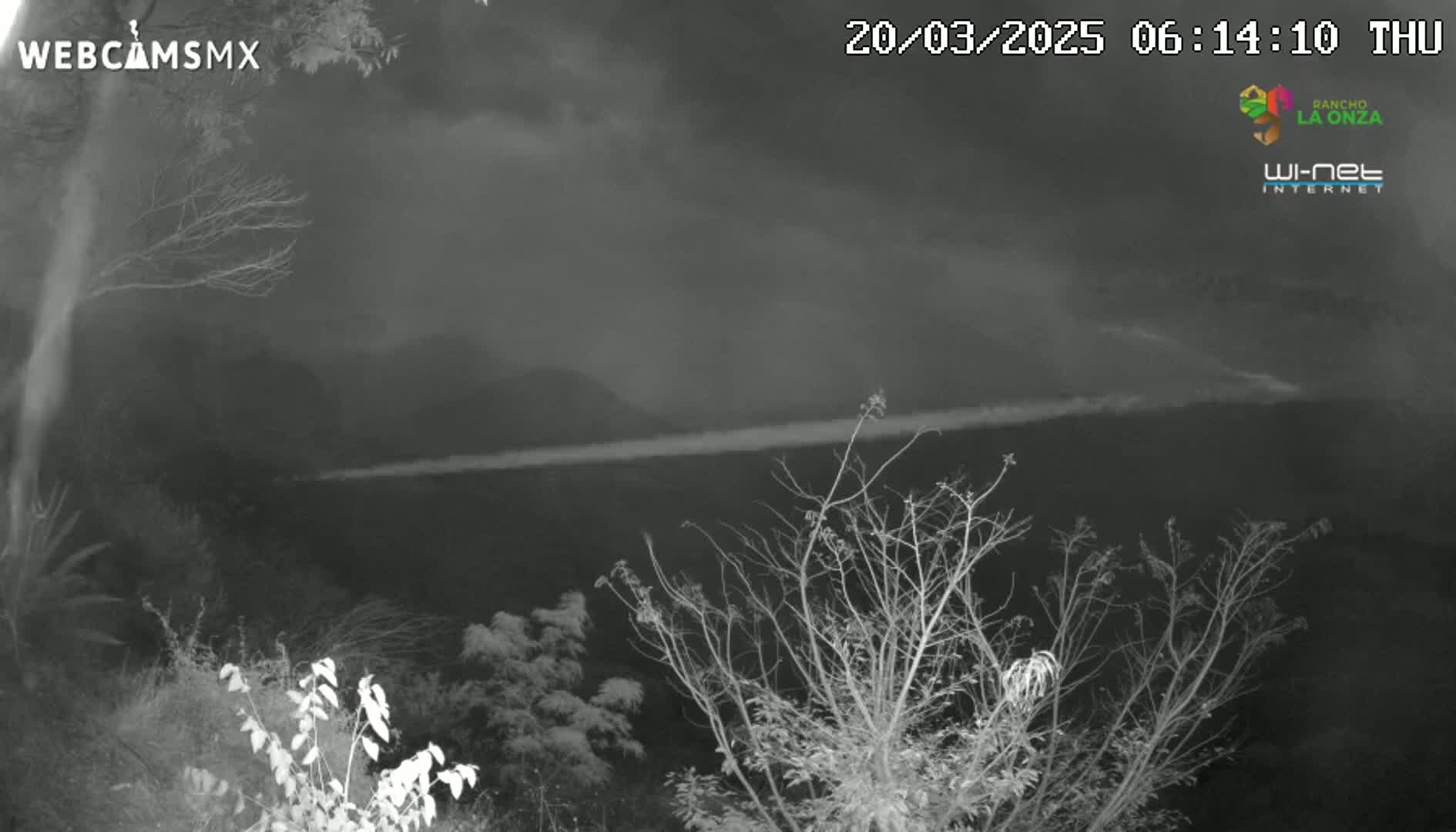 A nighttime, low-light image shows a hazy, smoky landscape with bare trees in the foreground.