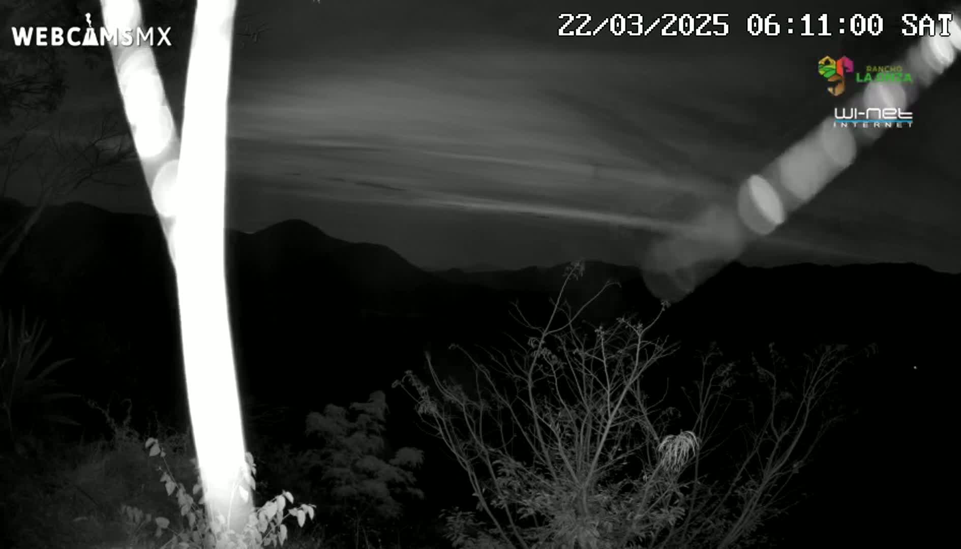 A nighttime, grayscale image shows a bright tree trunk in the foreground, bare branches of bushes and trees, and dark mountains in the background under a mostly clear sky.
