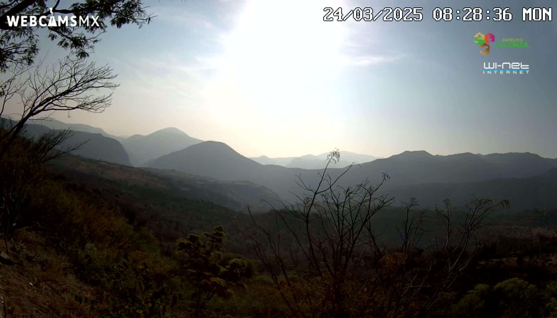 A hazy sunrise illuminates a mountainous landscape, viewed from a hilltop covered in scrub brush and bare trees.
