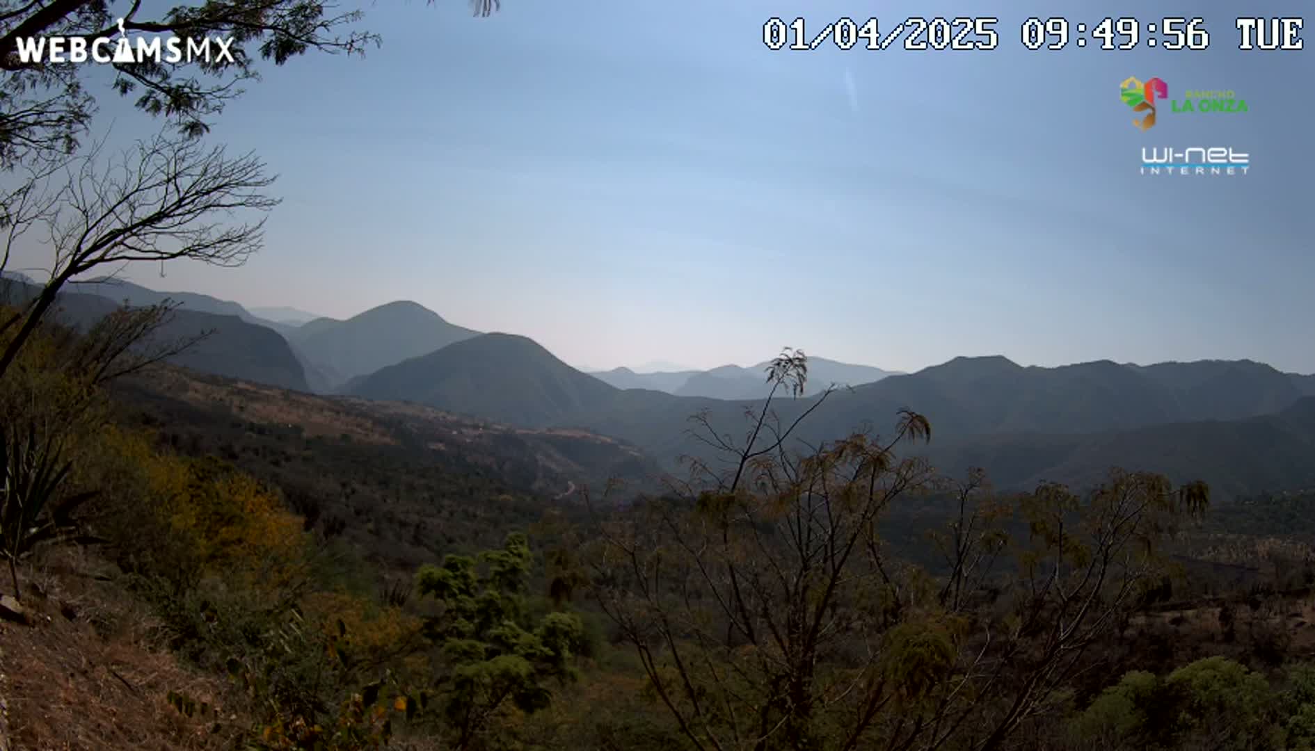 A mountain range is visible under a clear, light-blue sky, with sparse, dry-looking vegetation in the foreground.