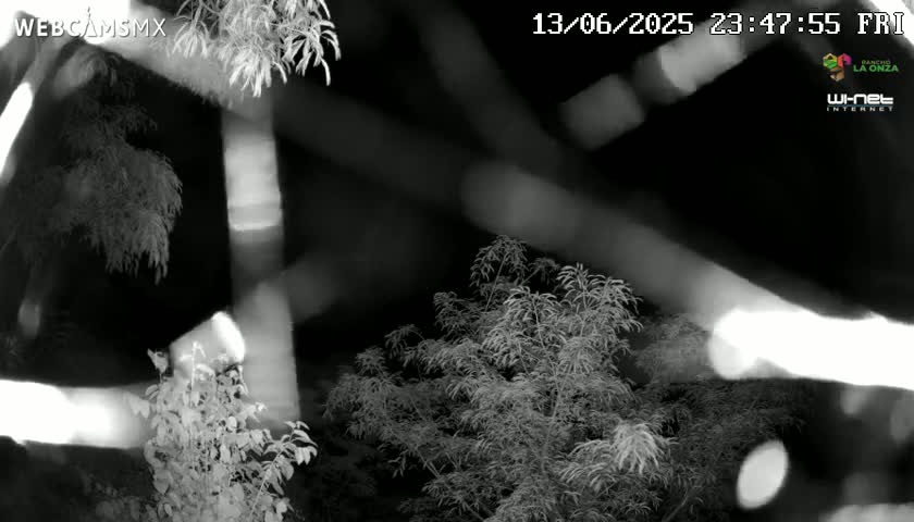 Rancho La Onza Nature Live Cam - San Luiz de la Paz, Guanajuato, Mexico