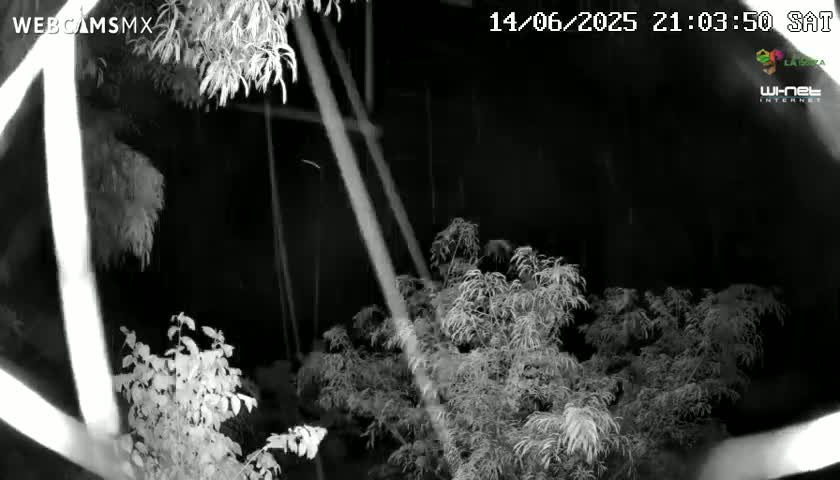 Rancho La Onza Nature Live Cam - San Luiz de la Paz, Guanajuato, Mexico