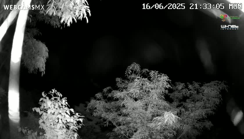 Rancho La Onza Nature Live Cam - San Luiz de la Paz, Guanajuato, Mexico