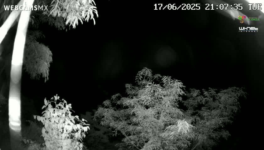 Rancho La Onza Nature Live Cam - San Luiz de la Paz, Guanajuato, Mexico