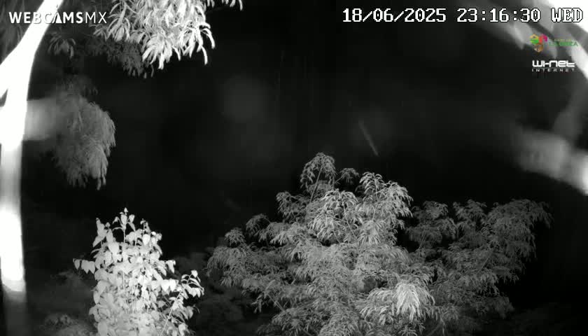Rancho La Onza Nature Live Cam - San Luiz de la Paz, Guanajuato, Mexico