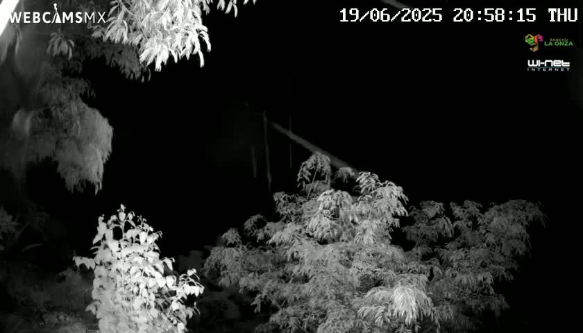 Rancho La Onza Nature Live Cam - San Luiz de la Paz, Guanajuato, Mexico